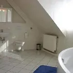 Hotel Garni Roedelheimer Hof 3*