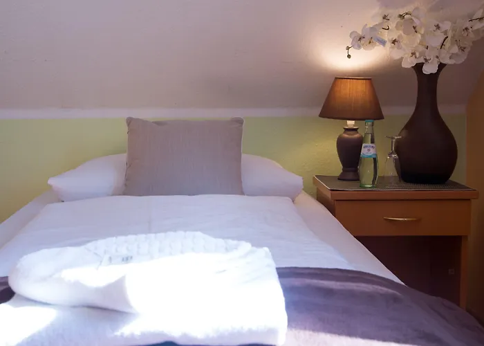 Garni Roedelheimer Hof Hotel