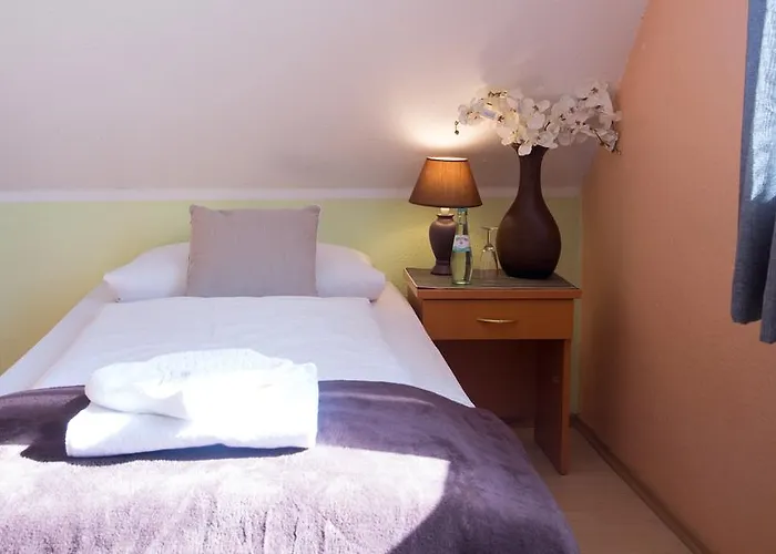 Garni Roedelheimer Hof 3*