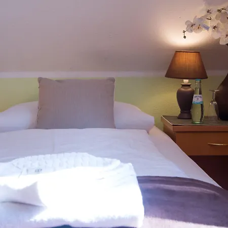 Garni Rödelheimer Hof Hotel