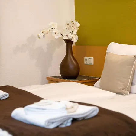 Garni Roedelheimer Hof 2*
