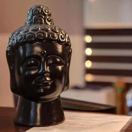 柔戴尔海米尔咖尼酒店 美因河畔法兰克福