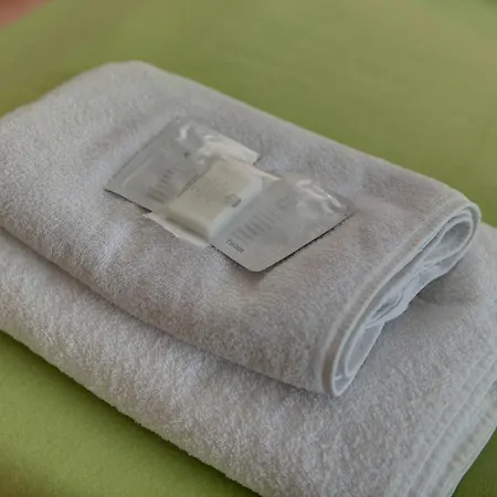 酒店 柔戴尔海米尔咖尼酒店 3*